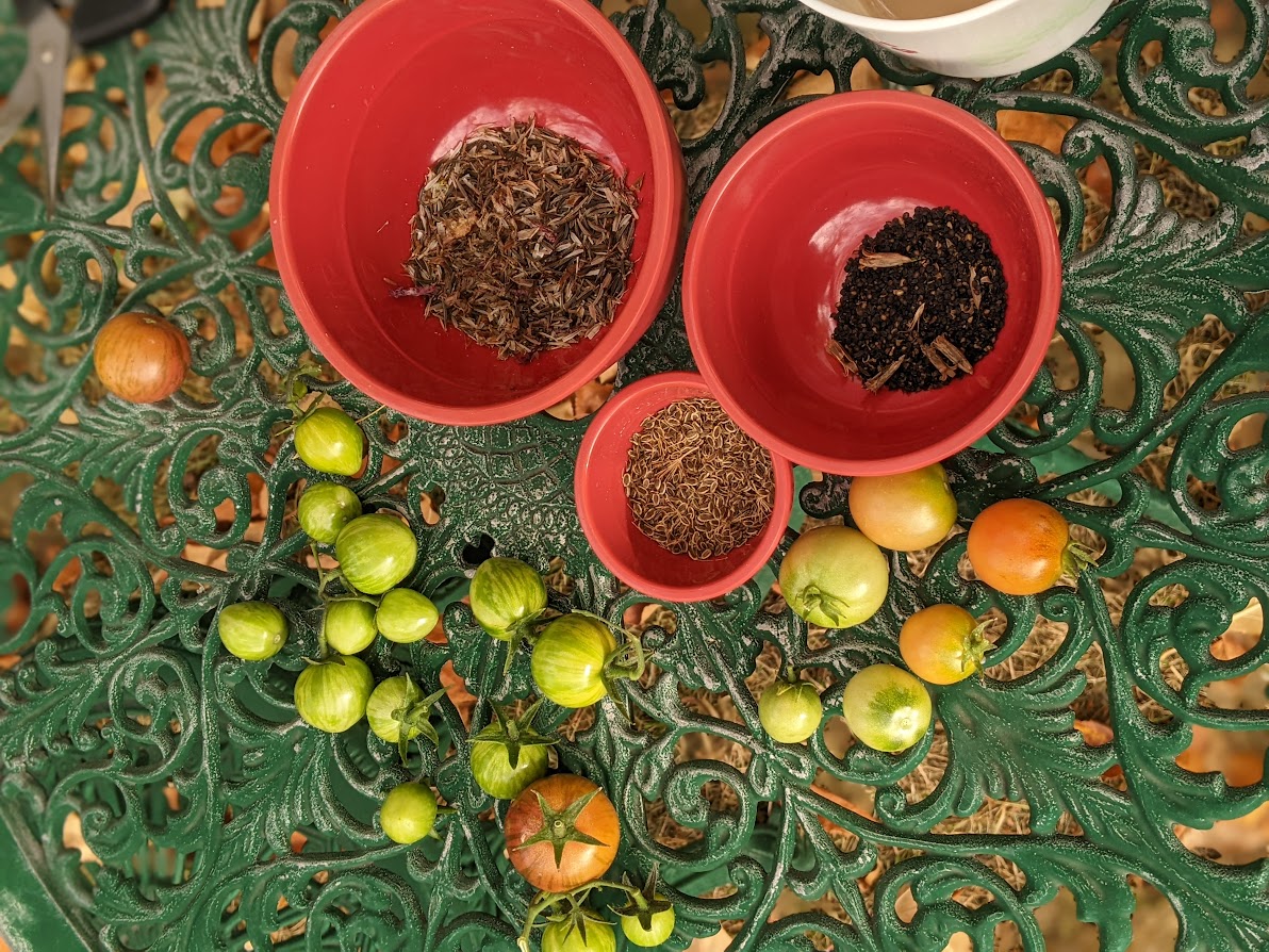 Adjusting To An Unpredictable Climate – Life in a Zone Three Garden