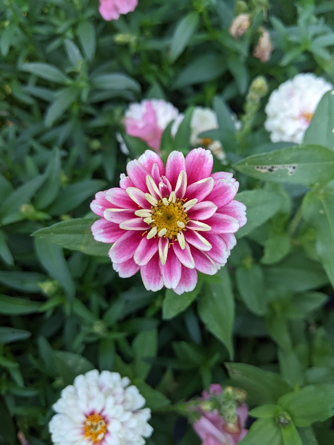 Planning for Next fall