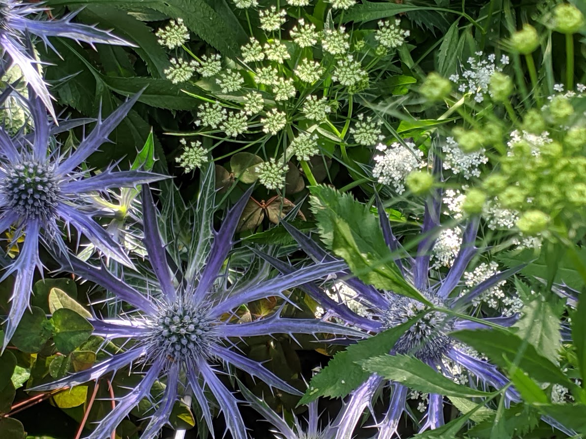 Creating Stunning Combinations in The Border