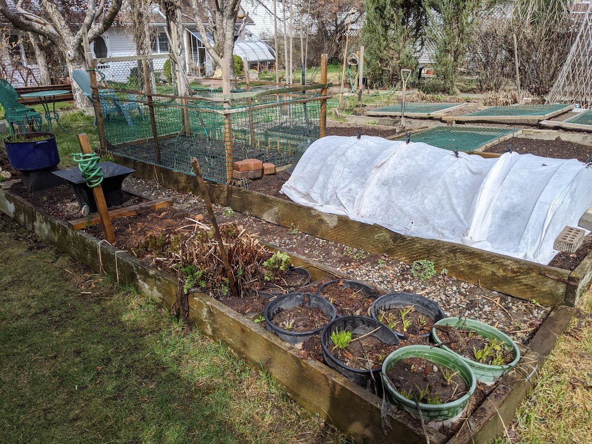 Become Your own Garden Designer 14, Vegetable Garden Basics