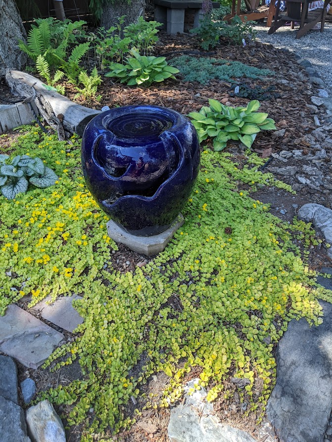 Discovering Cranbrook B.C.’s Open Garden Day: A Showcase of Gardening Artistry