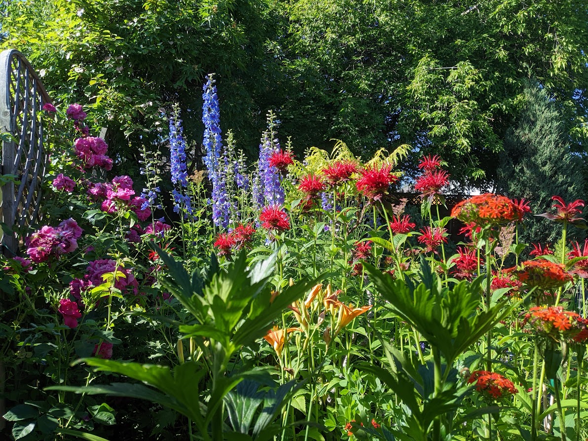 What’s in Bloom for the Week of July 17th?