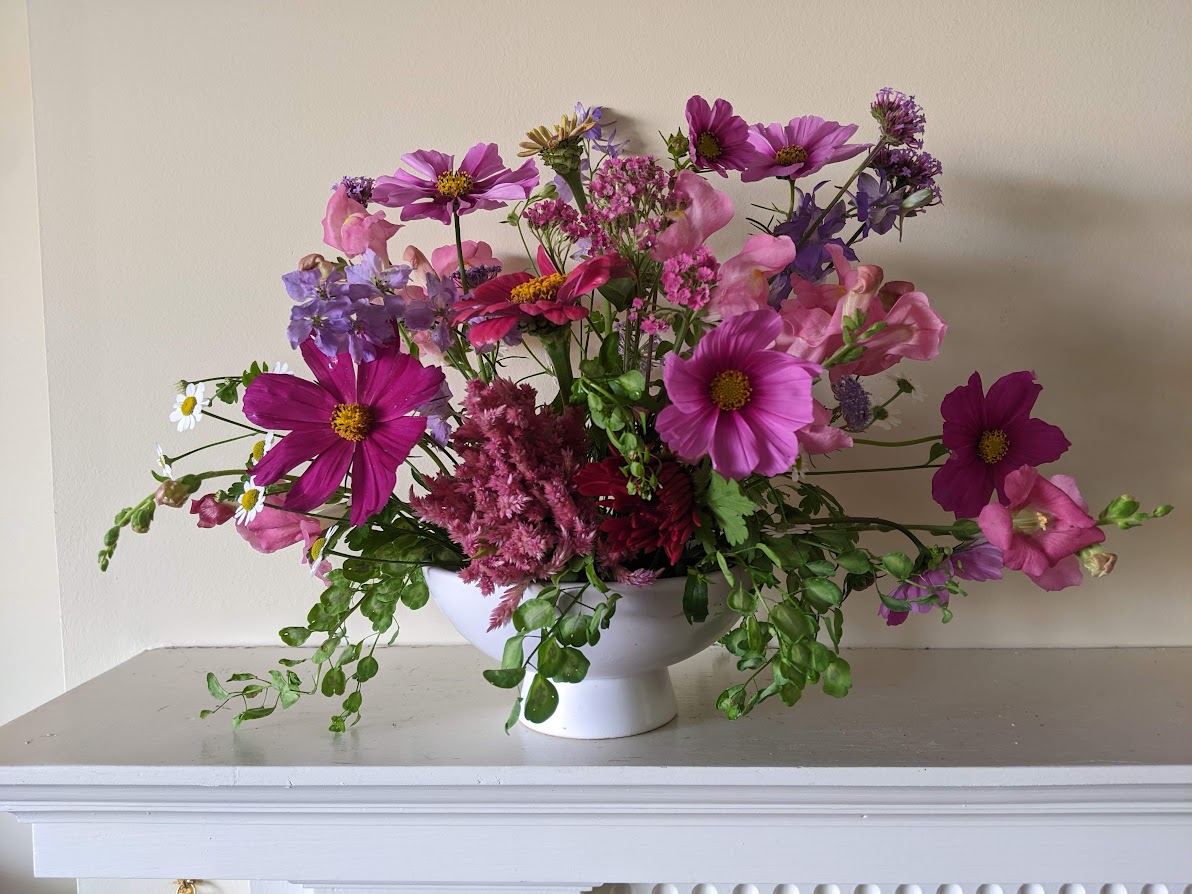 In a Vase, Monday September 16