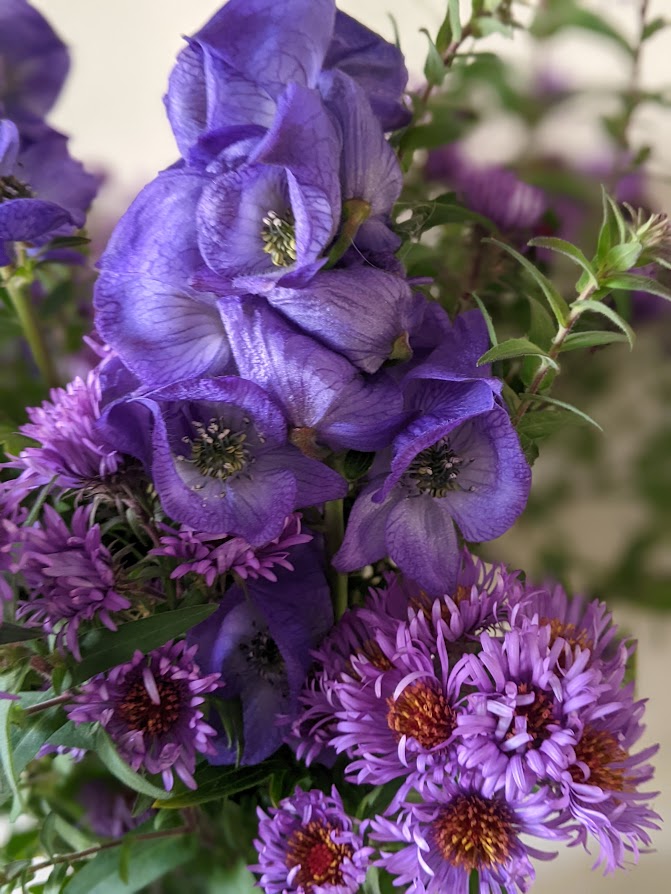 In a Vase, Monday October 21