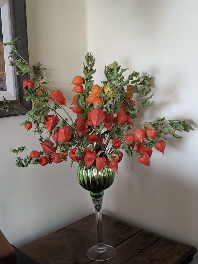 In A Vase, Monday December 2nd