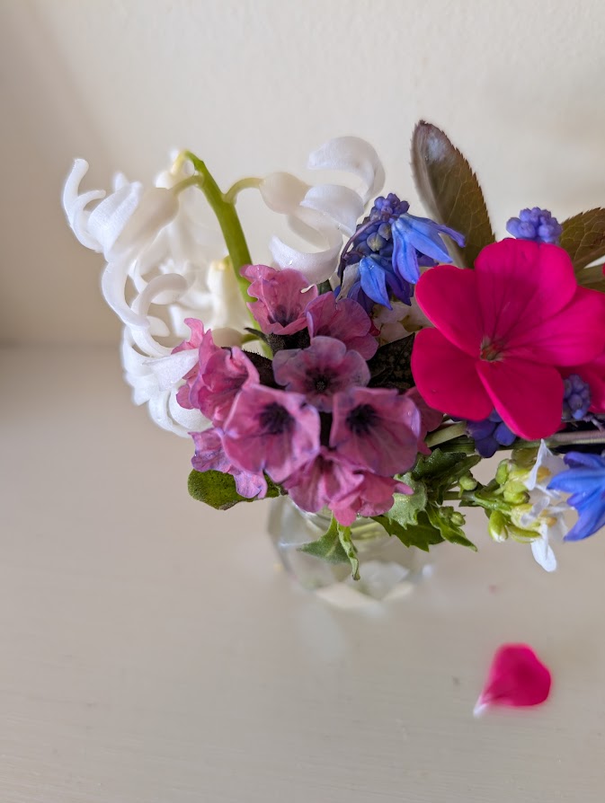 In a vase, Monday April 21,2025