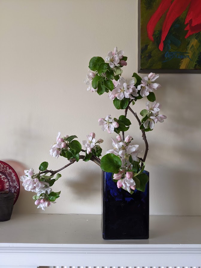 Forcing the Blossoms