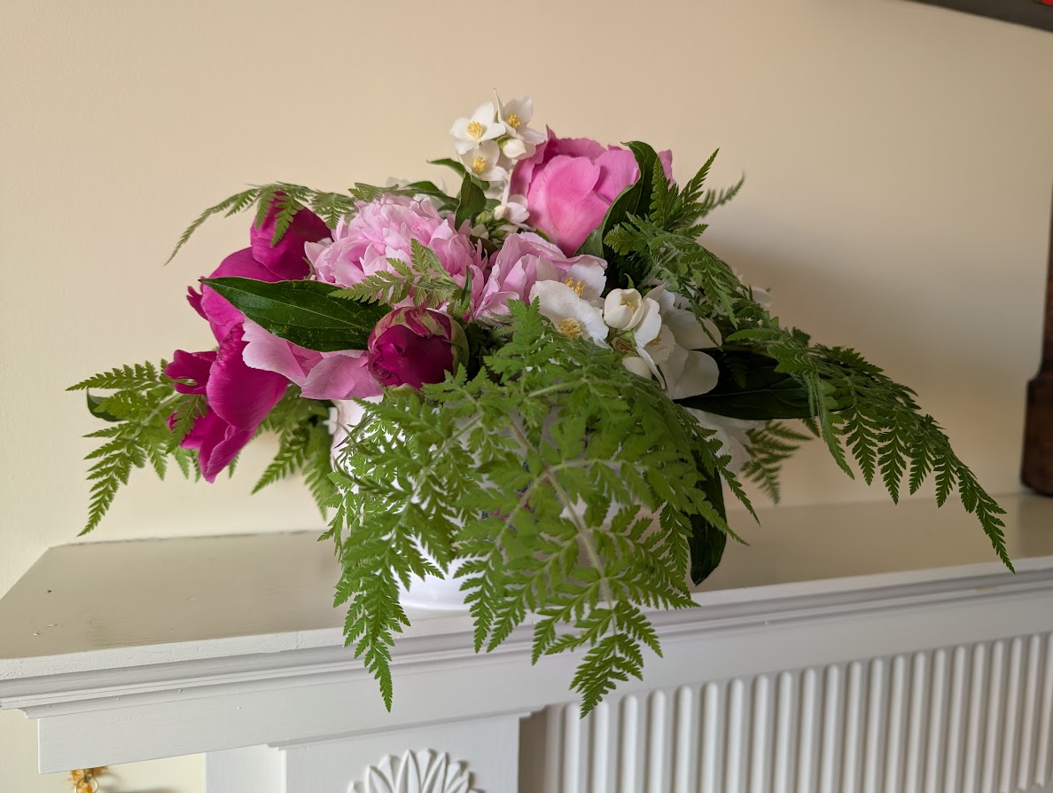 In a Vase, Monday, June 23 2025