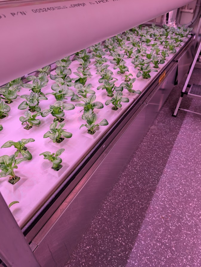 A Visit to Cranbrook’s Urban Farm