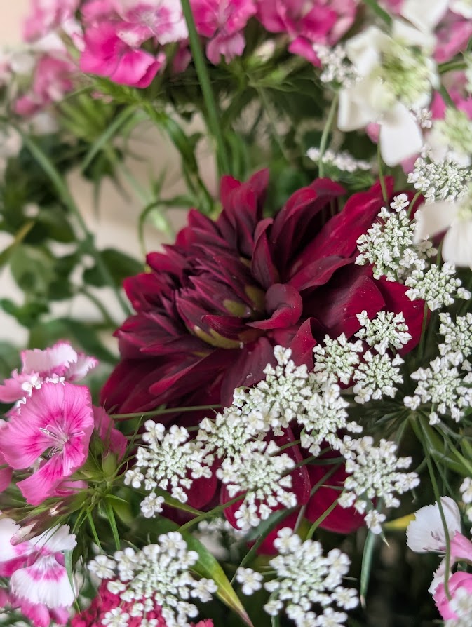 In a Vase, Monday, July 7, 2025