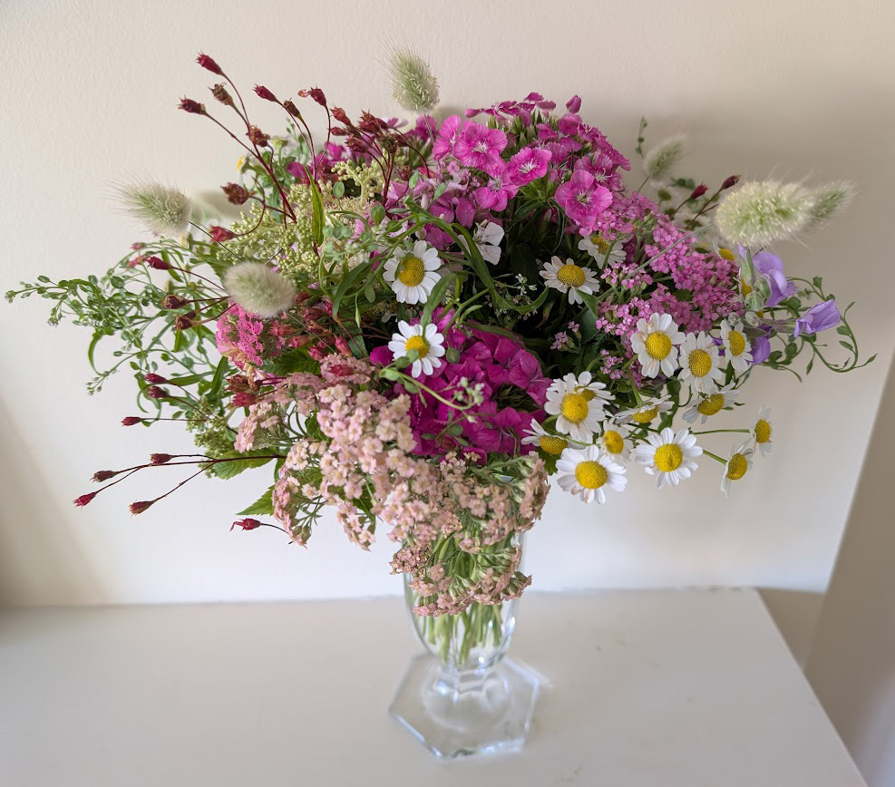 In a vase, Monday, July 14th 2025