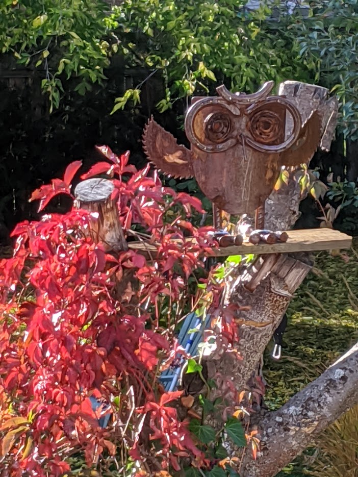 The loss of A Tree