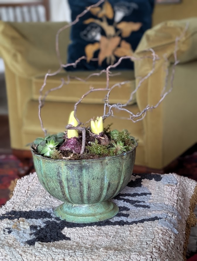 In a Vase Monday January 5, 2026