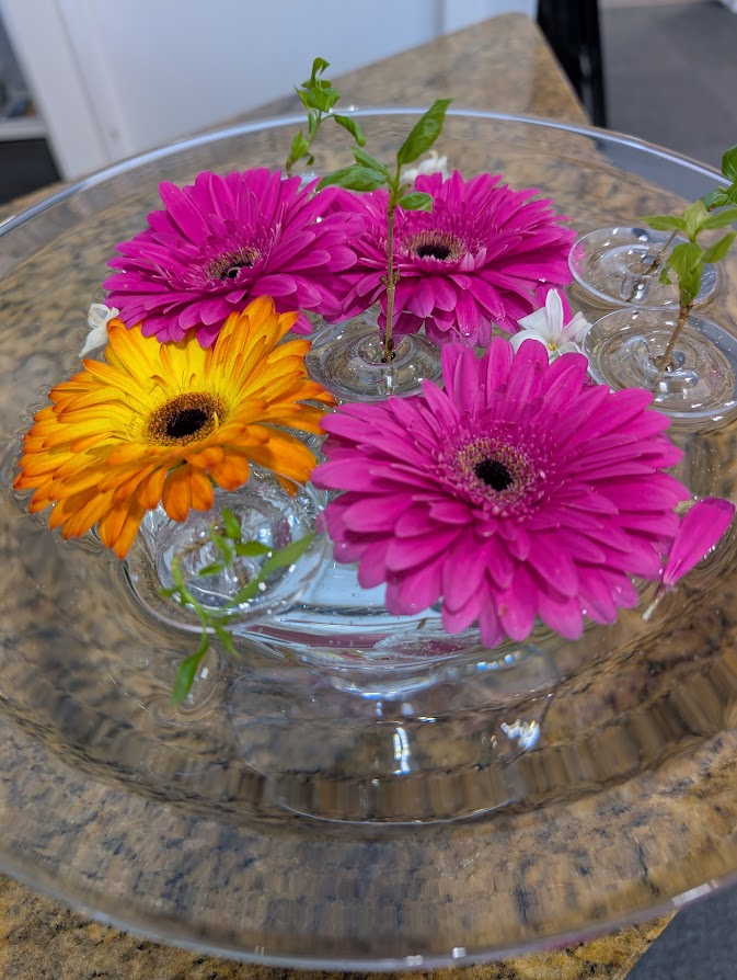 In a Vase, Monday February 23, 26