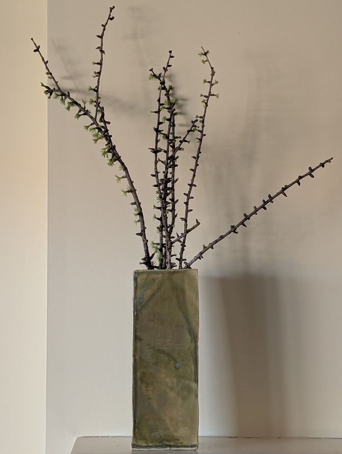 In A Vase, Monday March 16, 26